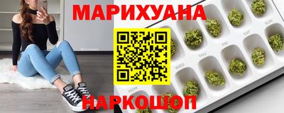 стаф Будённовск